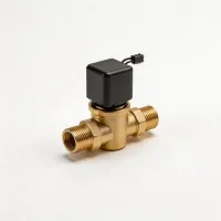 Expansion Valve